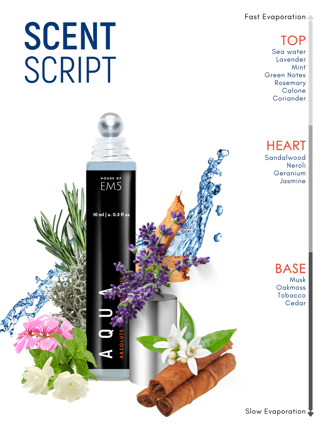 Aqua Perfume Roll-On - Image 3