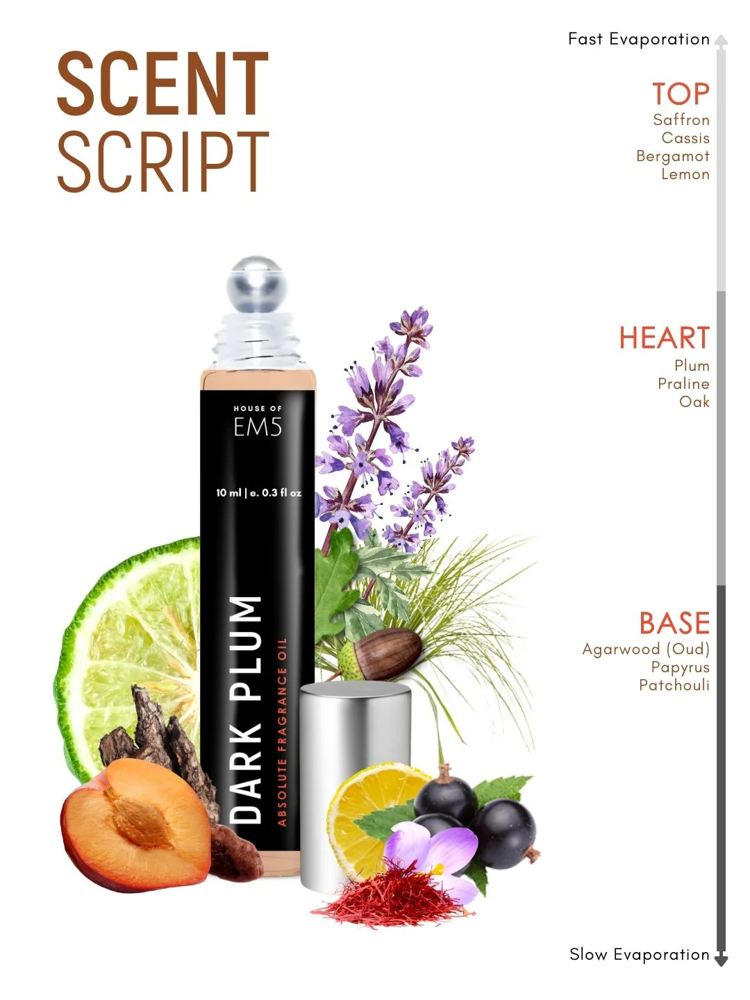 Dark Plum Perfume Roll-On - Image 3