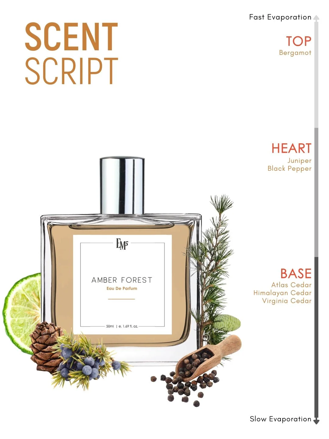 Amber Forest | Eau De Parfum - Image 3