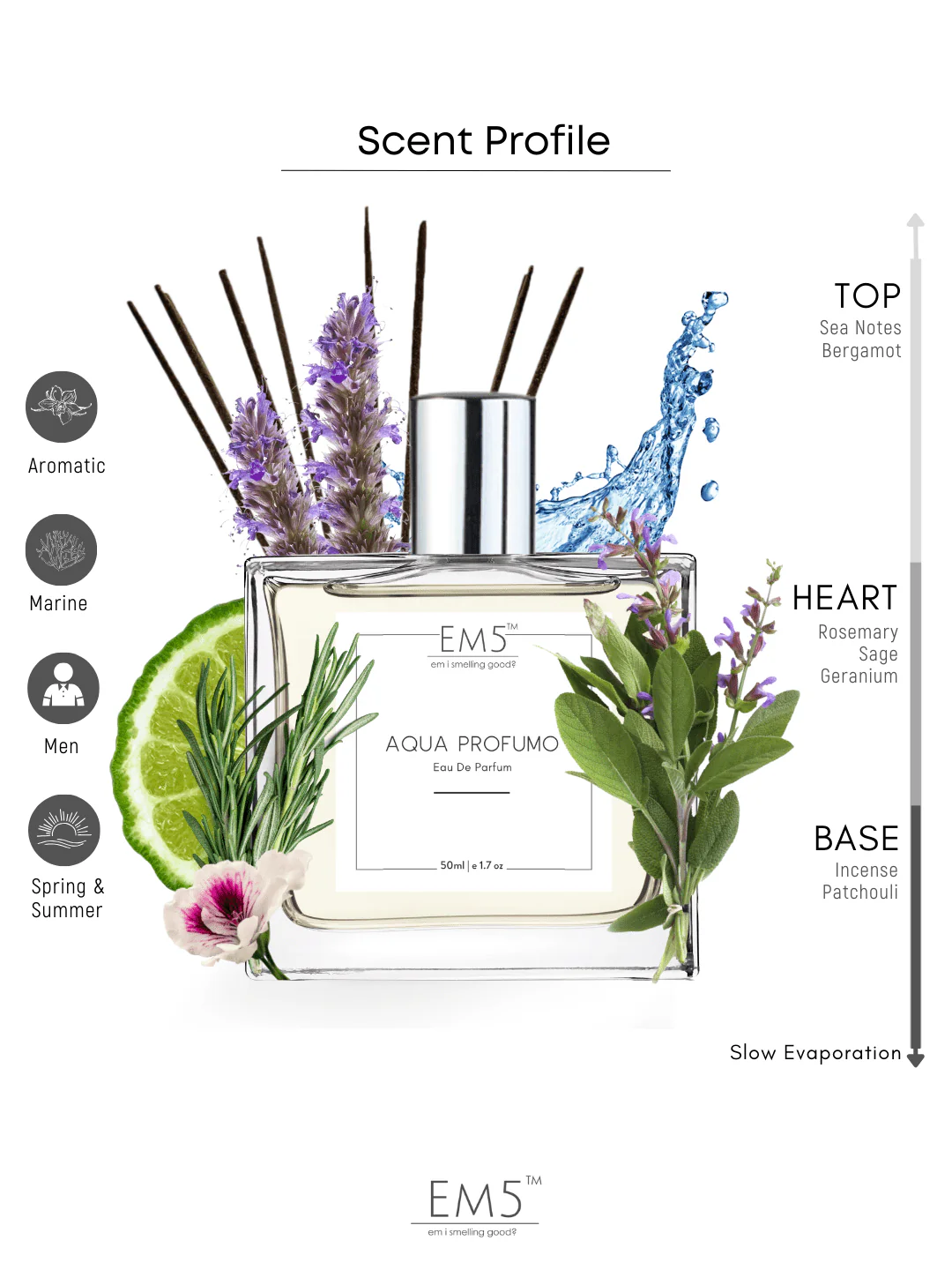 Aqua Profumo | Eau De Parfum - Image 2