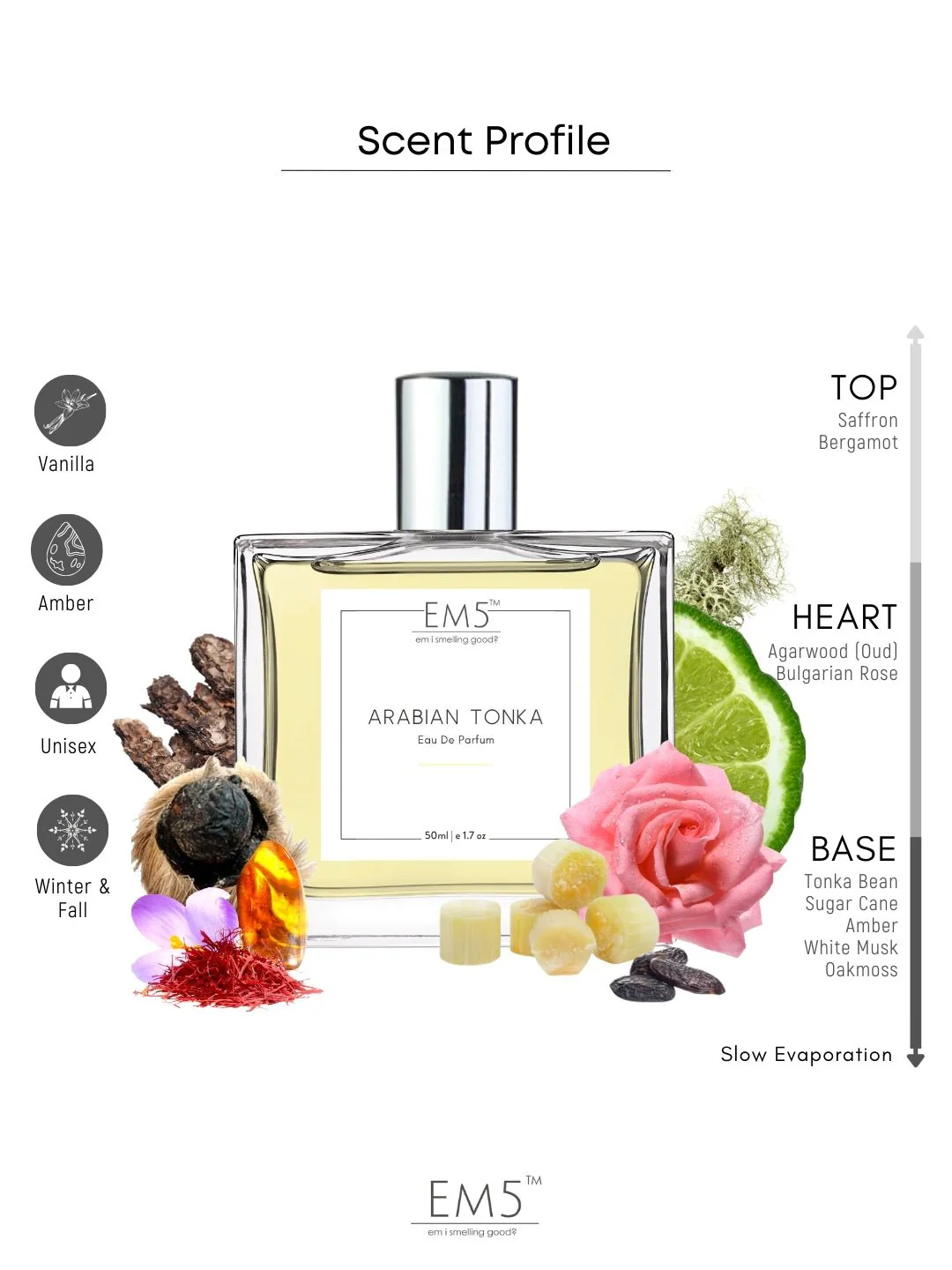 Arabian Tonka | Eau De Parfum - Image 3