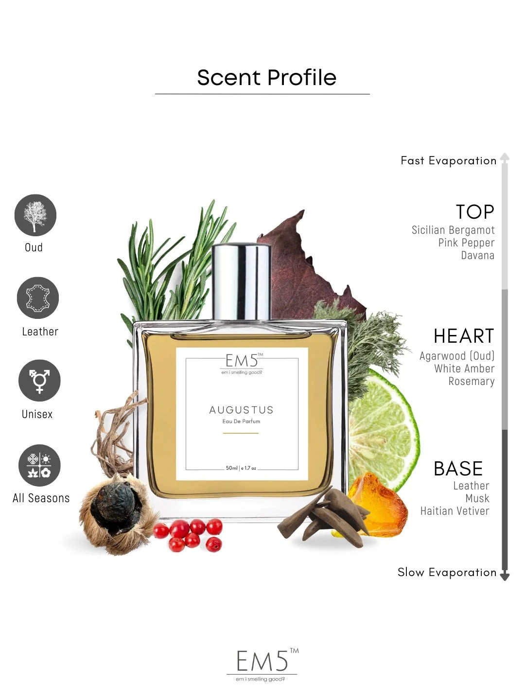 Augustus | Eau De Parfum - Image 2