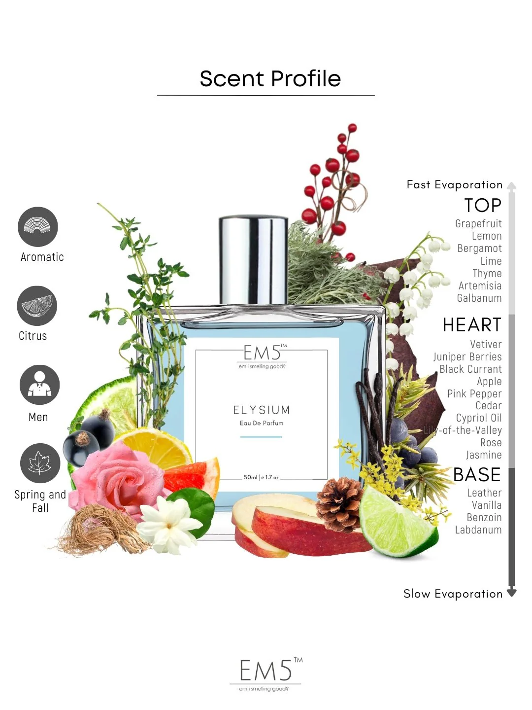 Elysium | Eau De Parfum - Image 2