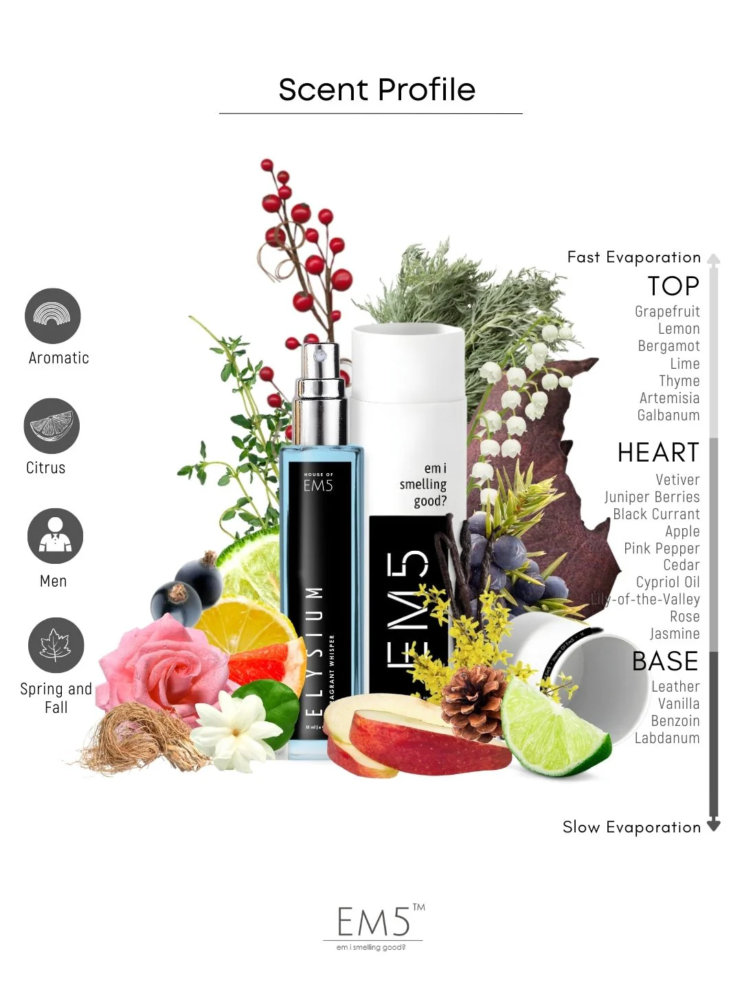Elysium | Eau De Parfum - Image 6