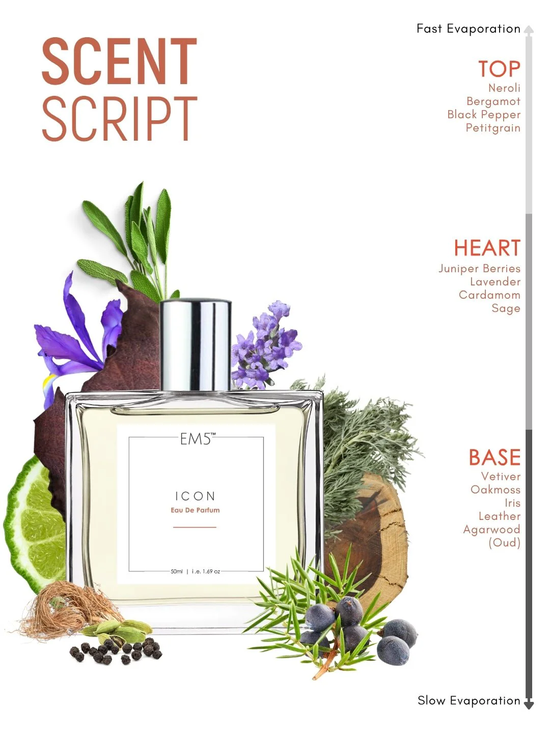 Icon | Eau De Parfum - Image 3