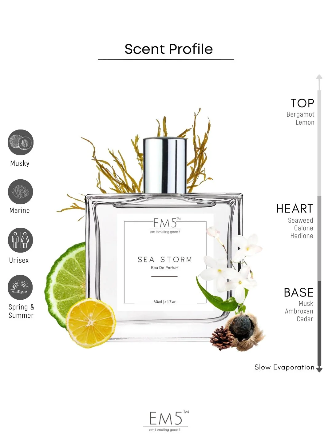 Sea Storm | Eau De Parfum - Image 2