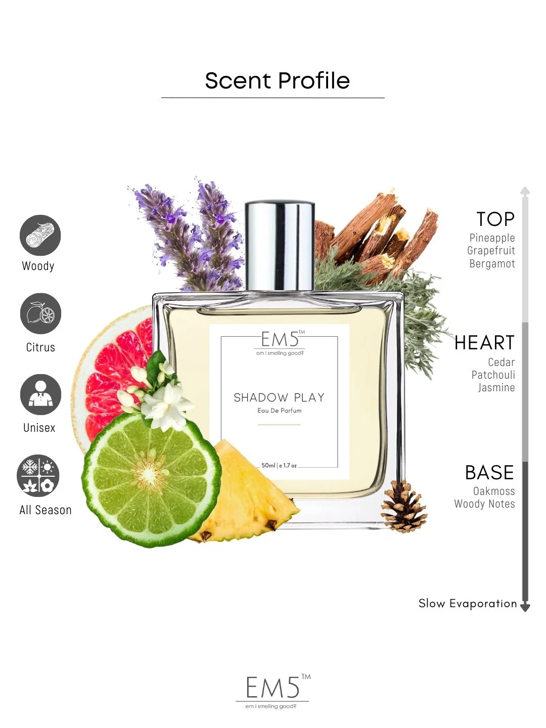 Shadow Play | Eau De Parfum - Image 2
