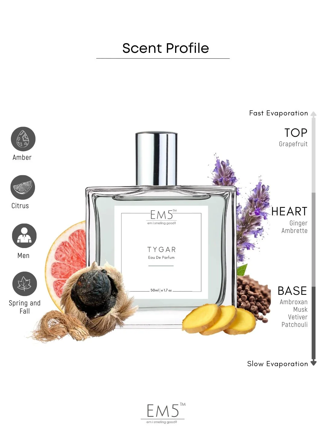 Tygar | Eau De Parfum - Image 2