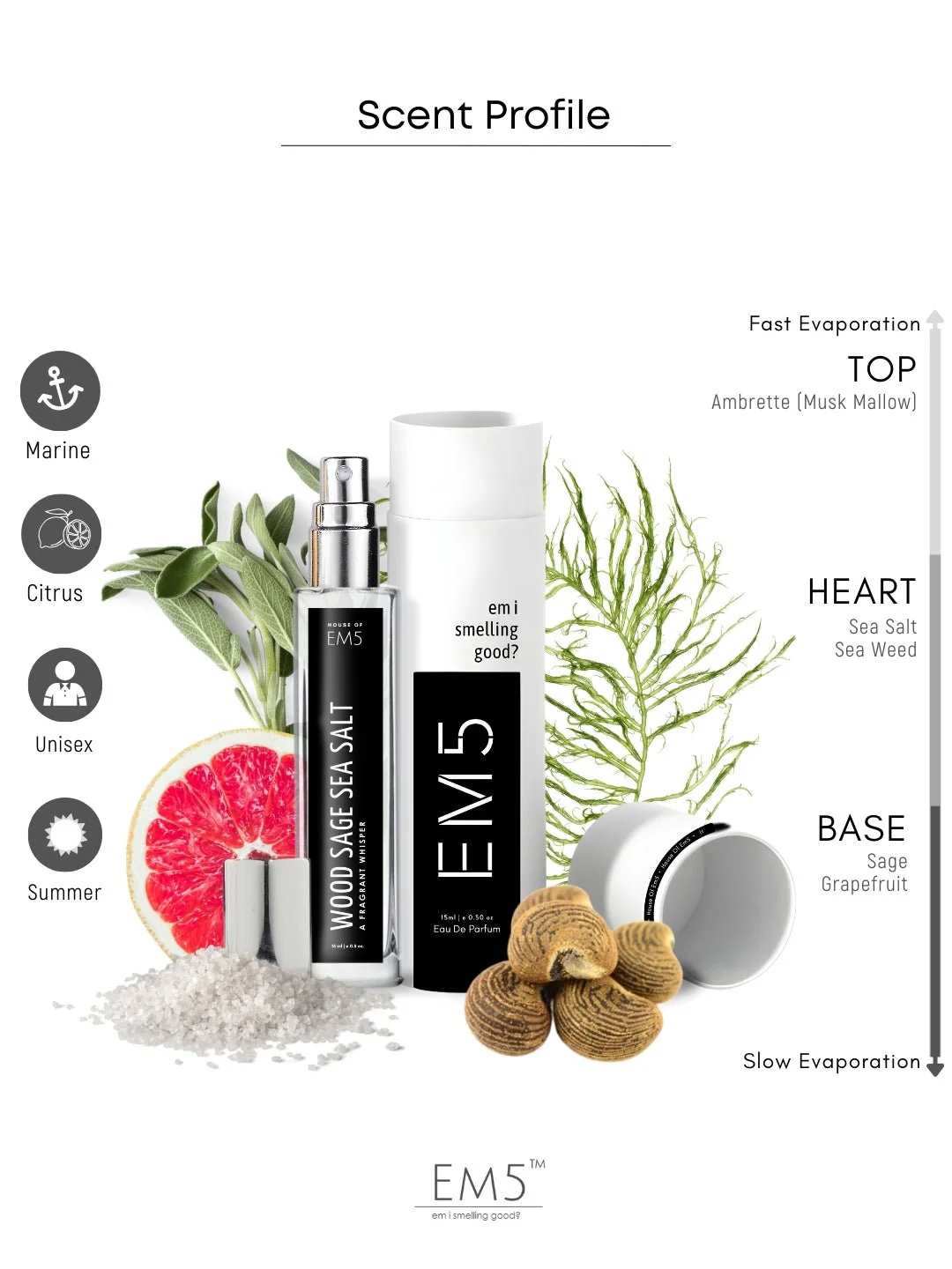 Wood Sage Sea Salt  | Eau De Parfum - Image 7