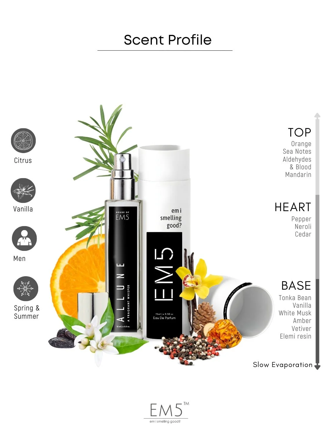 Allune | Eau De Parfum - Image 5
