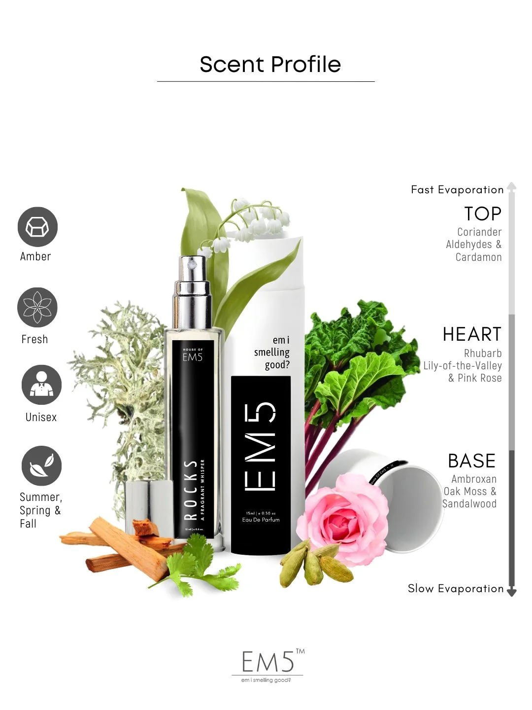 Rocks | Eau De Parfum - Image 7