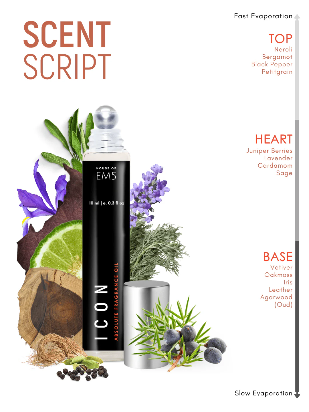 Icon Perfume Roll-On - Image 3
