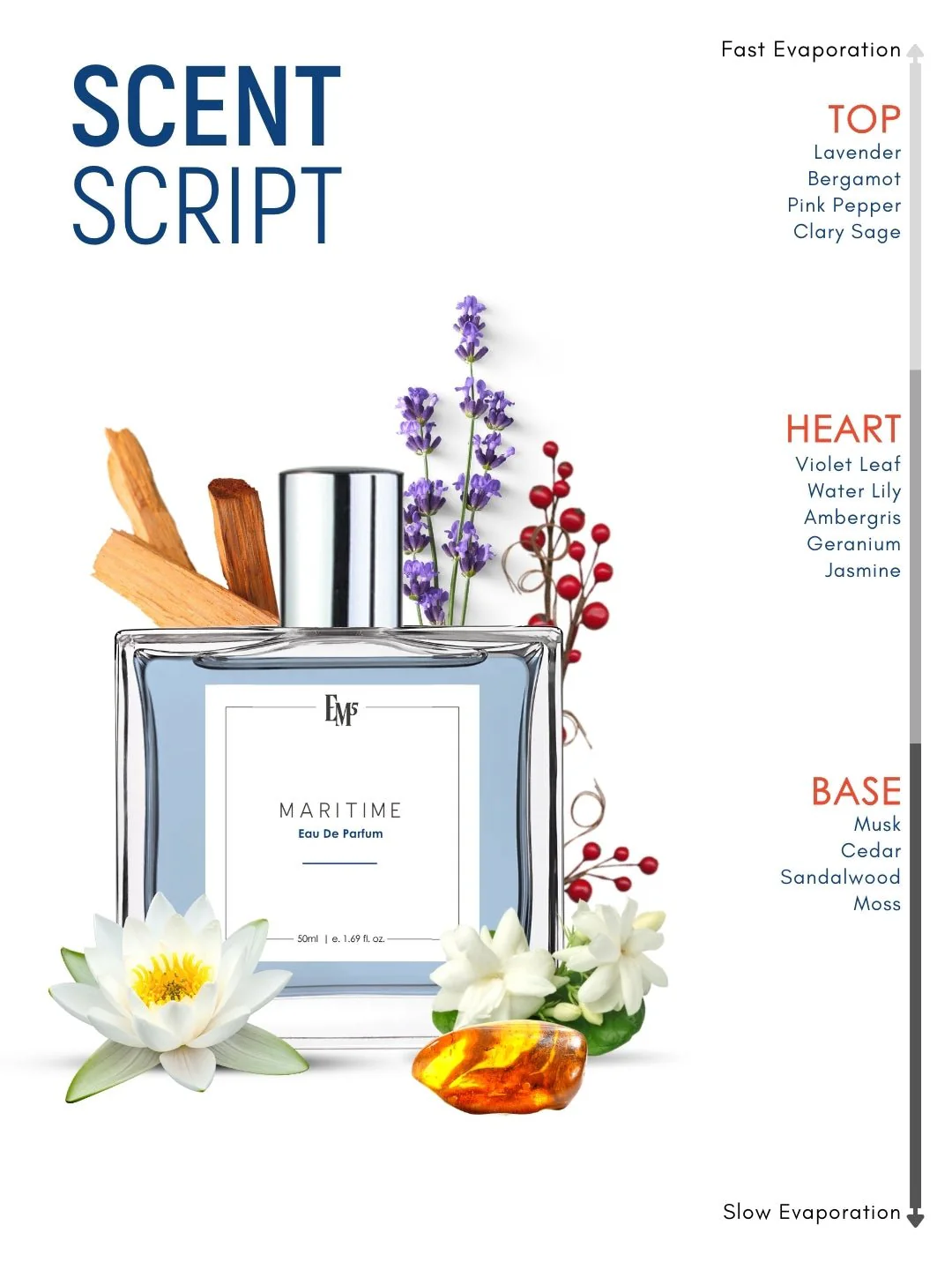 Maritime | Eau De Parfum - Image 2